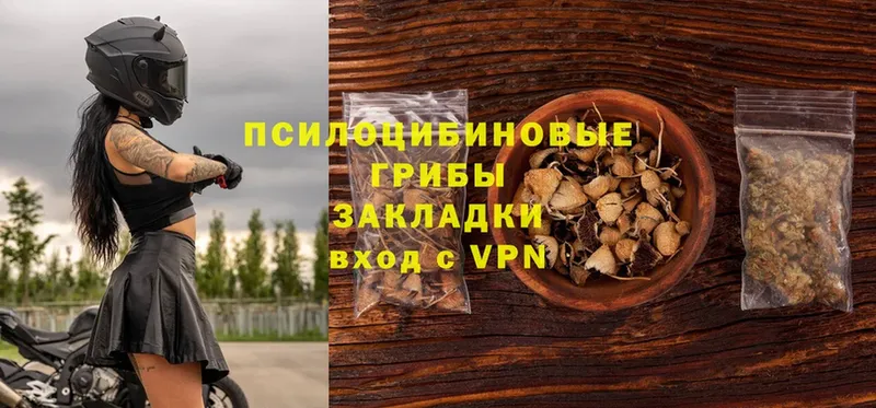 даркнет сайт  Великий Устюг  Галлюциногенные грибы Psilocybe 